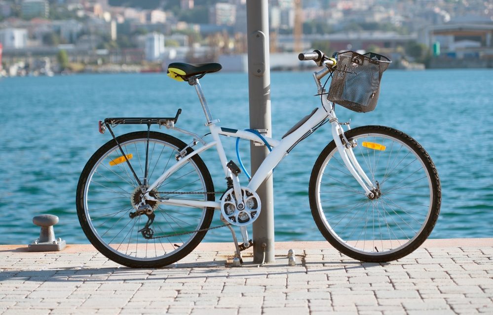 Migliore serratura per bicicletta Recensioni Italia 2022 – Top 9 Confronto