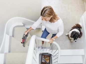 una signora che pulisce le scale con un cane al suo fianco