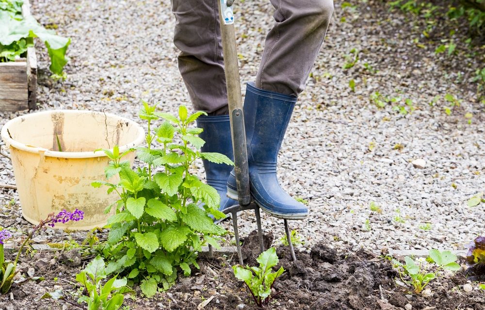 A cosa serve una forca manuale da giardino?  È perfetto per il tuo giardino?