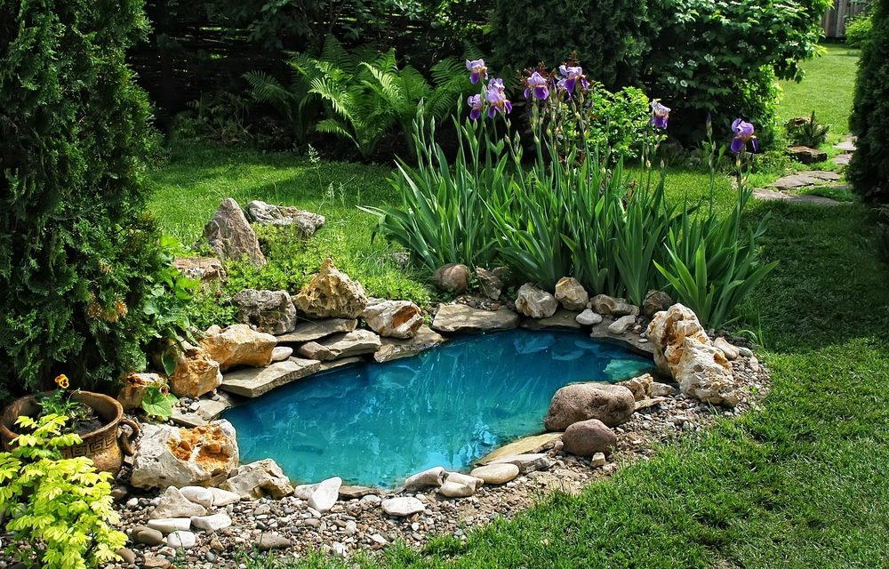 Come costruire un piccolo laghetto da giardino facilmente e magnificamente