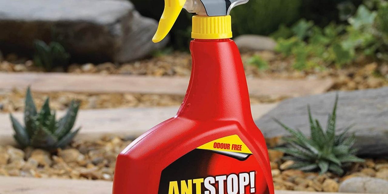 Come fare un killer di formiche per mantenere la tua casa libera dalle formiche