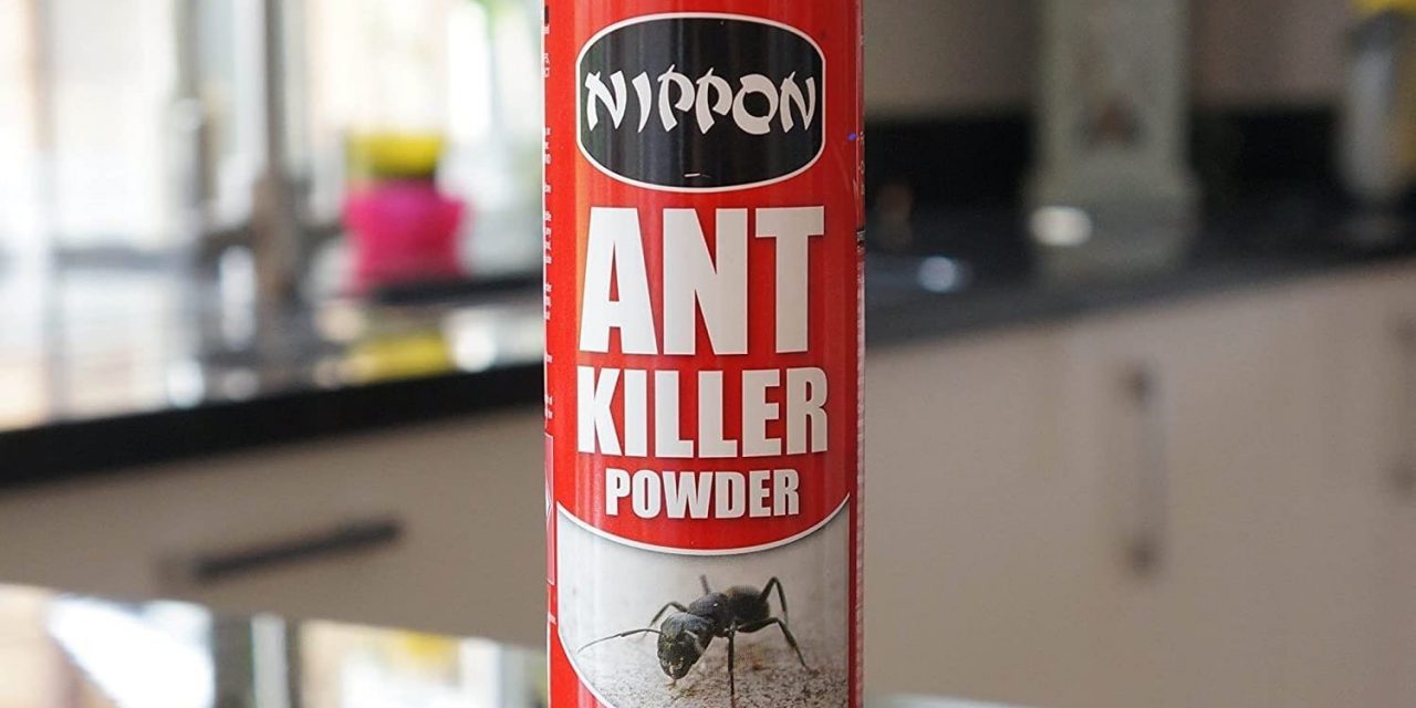 Come funziona Ant Killer: il segreto per una casa senza formiche