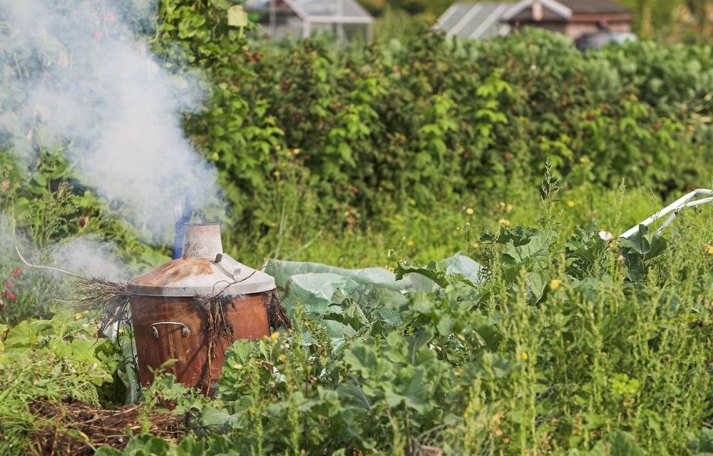 Come utilizzare un inceneritore da giardino in modo sicuro