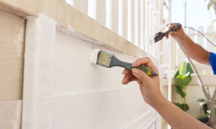 Di che colore dipingere una recinzione: modi per rinfrescare l’aspetto del tuo giardino
