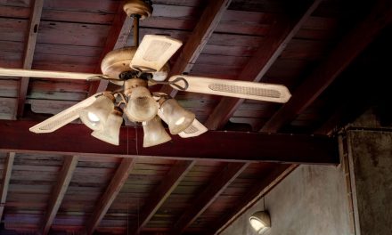 Goditi una brezza tranquilla: come oliare un ventilatore da soffitto cigolante